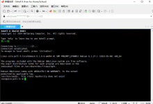 如何使用SSH工具连接搬瓦工的服务器(Xshell为例)-VPS羊毛资讯
